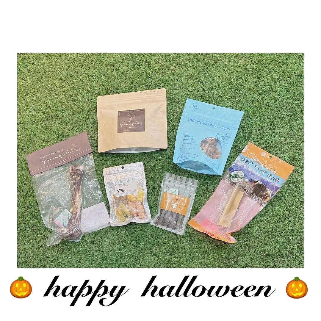 \ 🎃 happy halloween 🎃 /