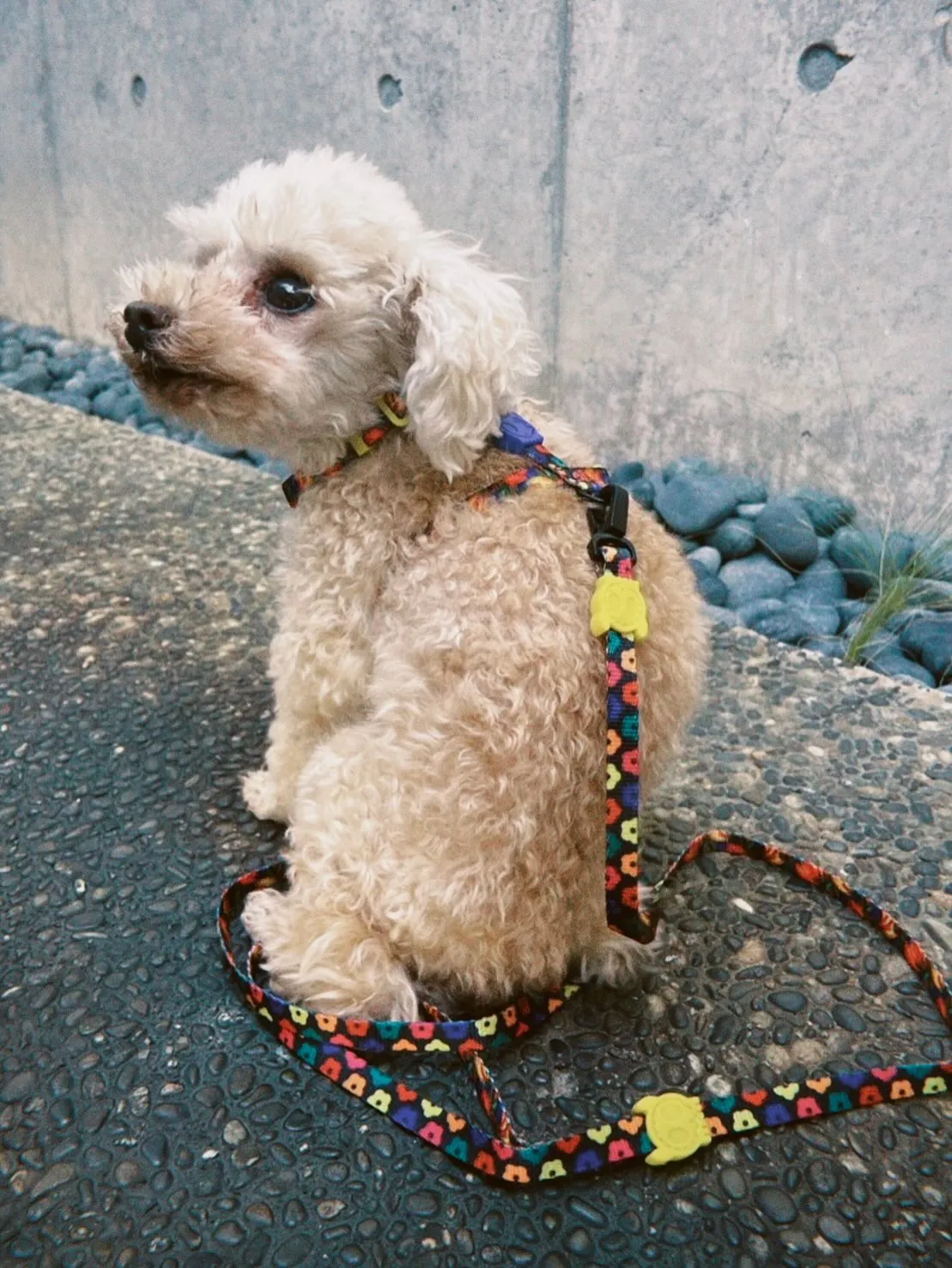 - ̗̀📢FARM RIO💐🤍