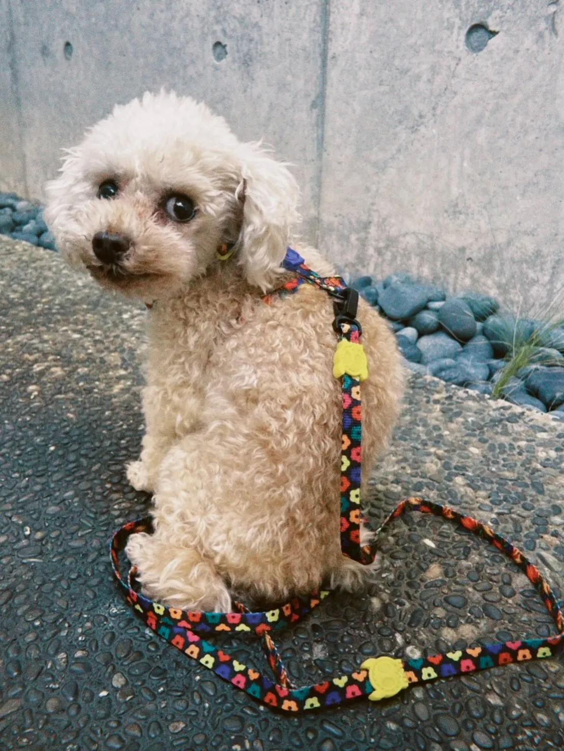 - ̗̀📢FARM RIO💐🤍