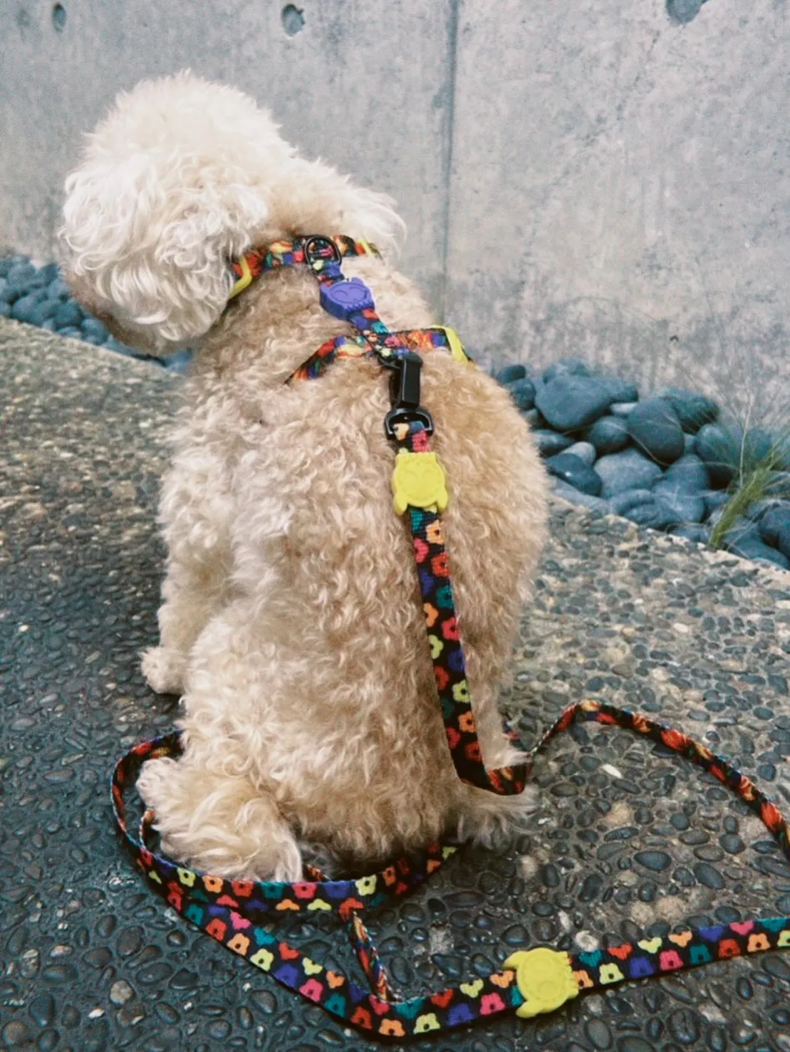 - ̗̀📢FARM RIO💐🤍