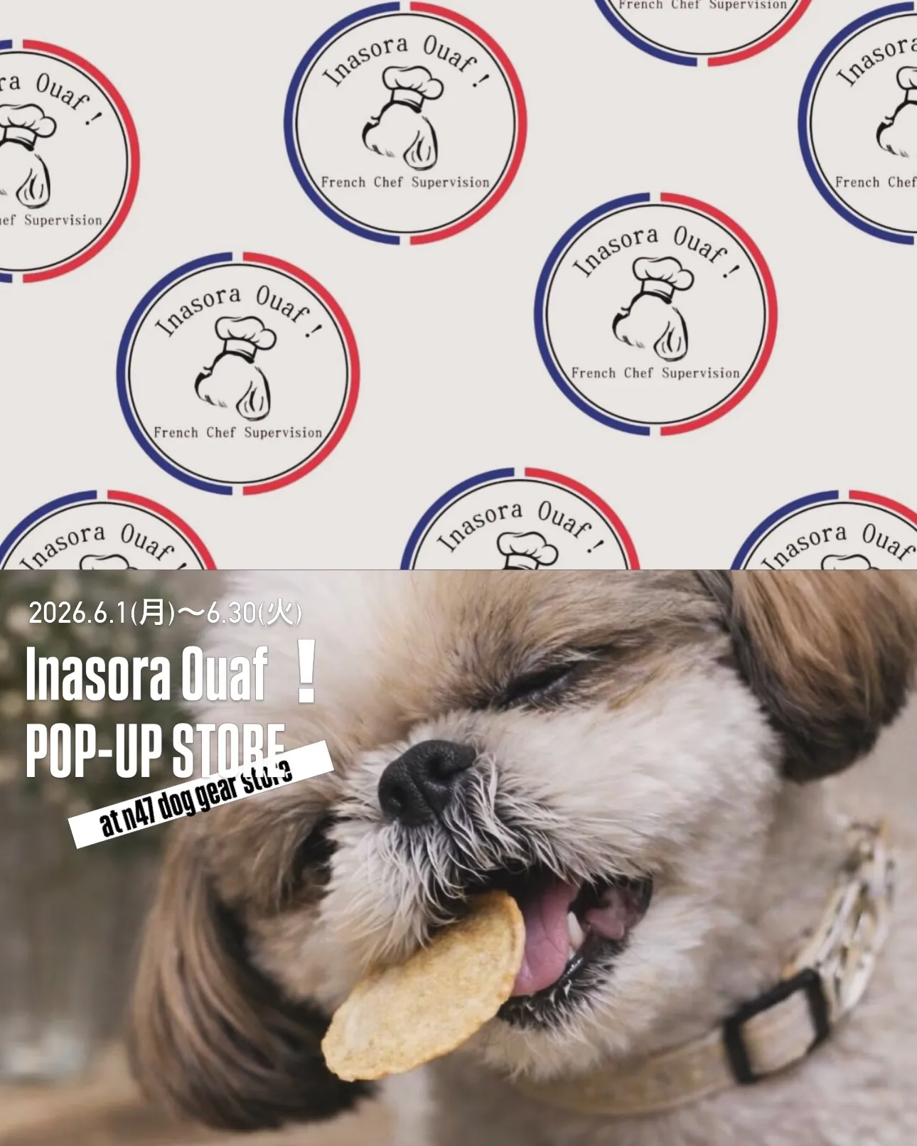- ̗̀📢