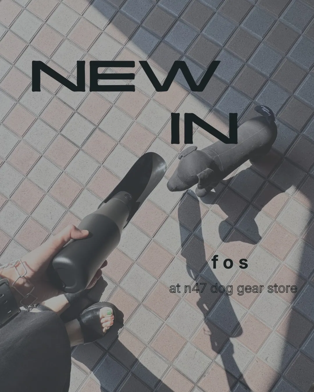 - ̗̀📢✨POP UP アイテム追加のお知らせ *˚