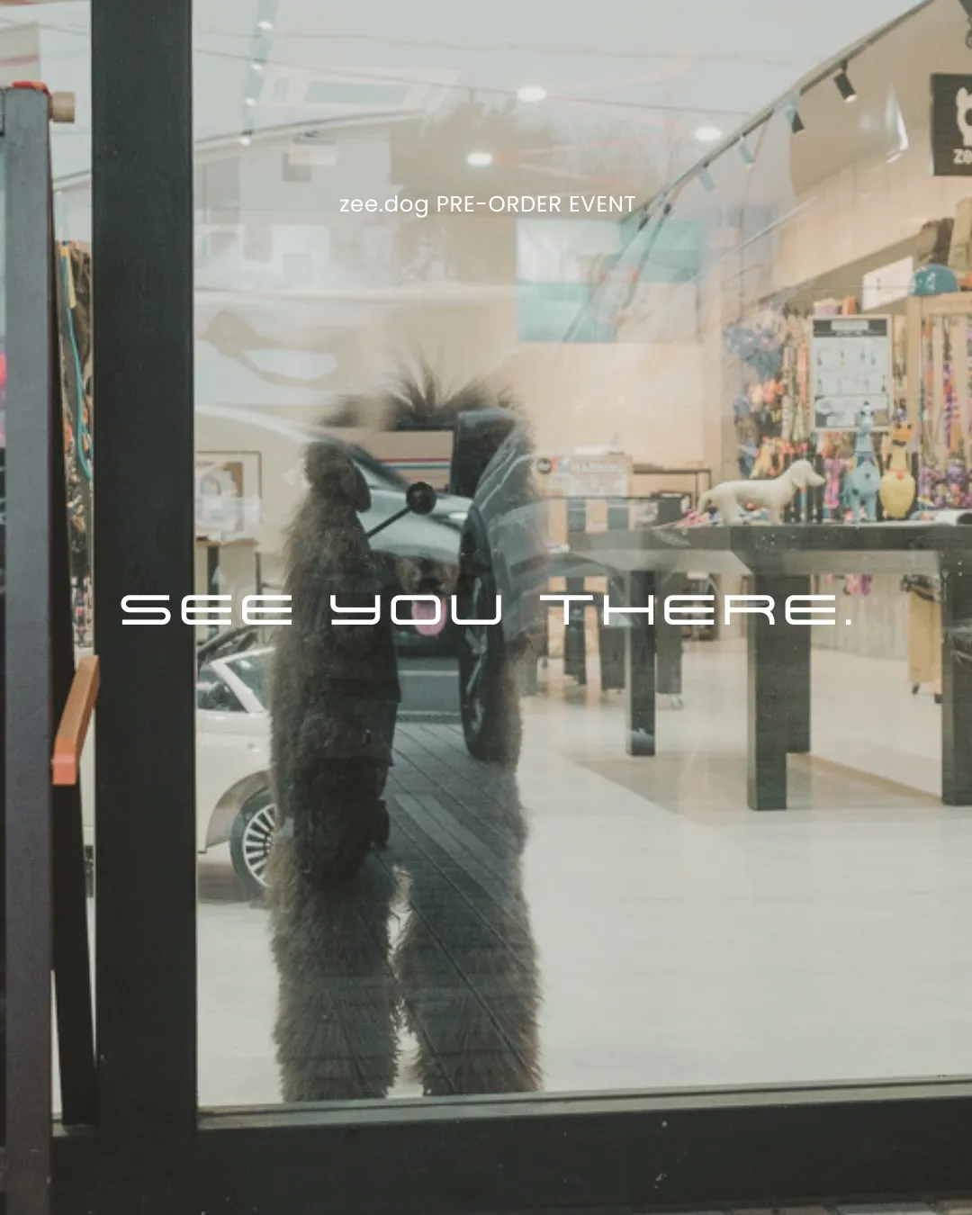 zee.dog PRE-ORDER EVENT