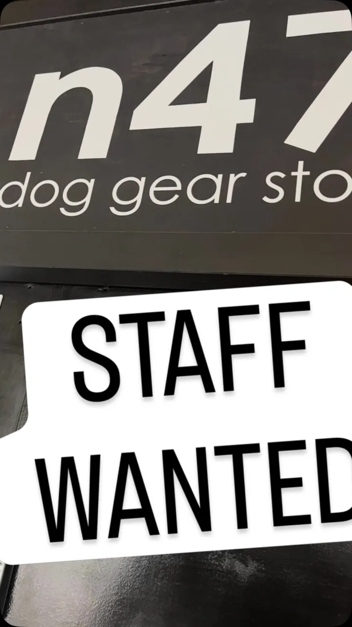 🐶 スタッフ募集｜n47doggear store